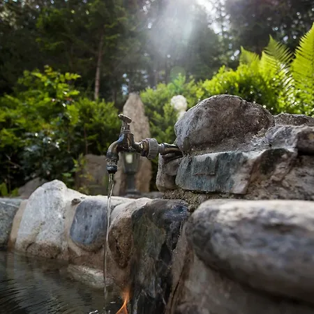 Waldhotel Bad Jungbrunn Otel 3*