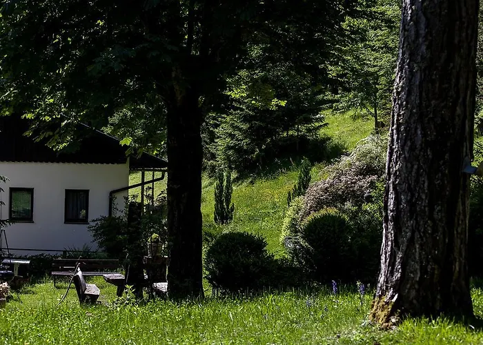 فندق Waldhotel Bad Jungbrunn 3*