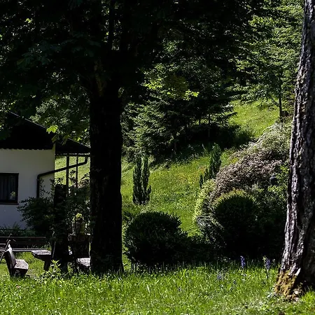 ホテル Waldhotel Bad Jungbrunn 3*