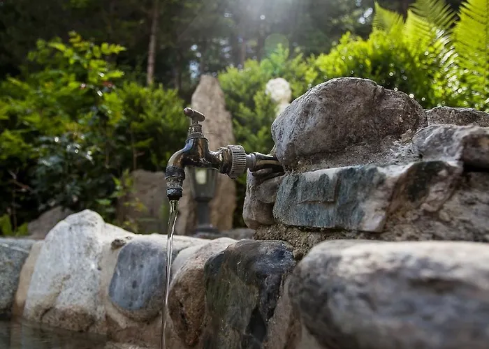 Waldhotel Bad Jungbrunn ホテル 3*